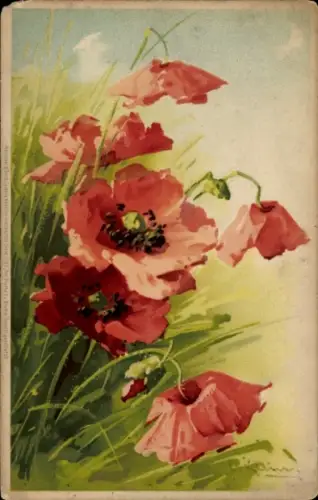 Künstler Ak Klein, Catharina, Mohnblumen