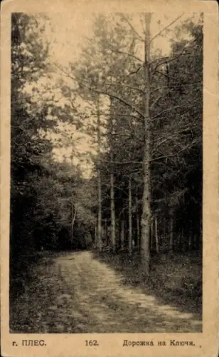 Ak Pless Russland, Waldweg