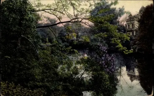 Ak Hansestadt Bremen, Fliederblüte am Bremer Wald