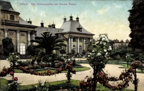 Ak Dresden Pillnitz,  Kgl. Schlossgarten, Neues Palais, Gartenlandschaft