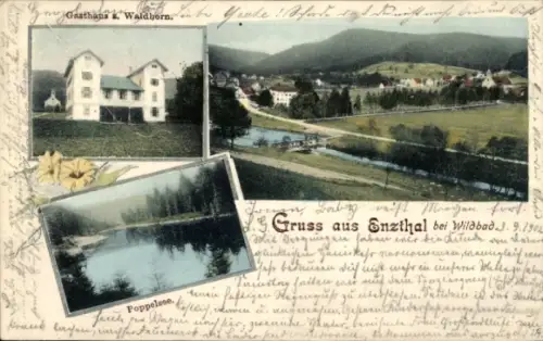 Ak Bad Wildbad im Schwarzwald, Gasthaus Waldborn, Poppelssee,  1902
