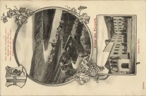 Ak Piesport an der Mosel, Panorama,  Weinberge, Gasthaus Hain