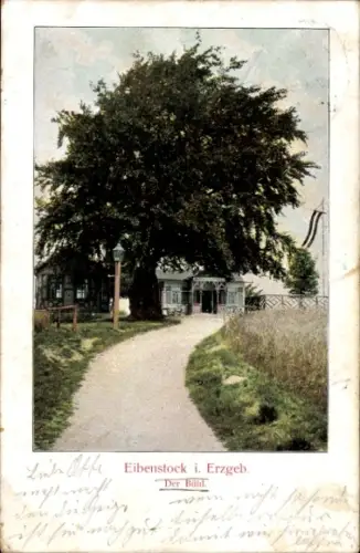 Ak Eibenstock im Erzgebirge Sachsen, Eibenstock i. Erzgeb., großer Baum, Weg, Gebäude, Fahne