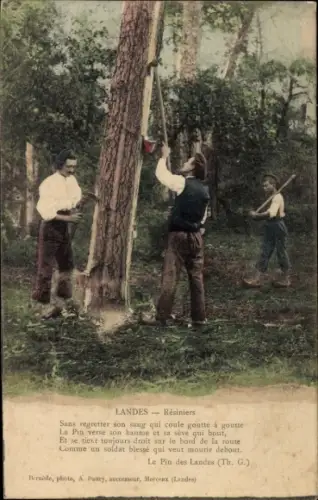 Ak Landes, Résiniers, Harzarbeiter