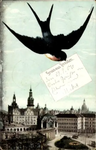 Ak Dresden, Blick zur Altstadt, Schwalbe