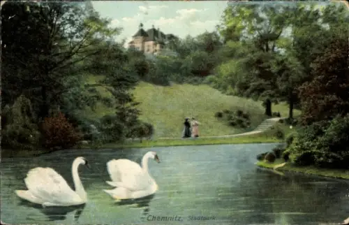 Ak Chemnitz in Sachsen,  Stadtpark, Schwäne im Wasser, Spaziergängerinnen, Natur
