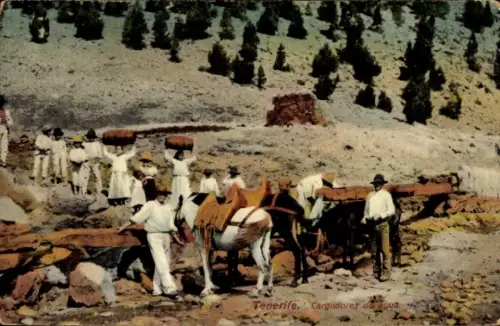 Ak Tenerife Teneriffa Kanarische Inseln Spanien,  Wasserträger, Pferde, Berglandschaft