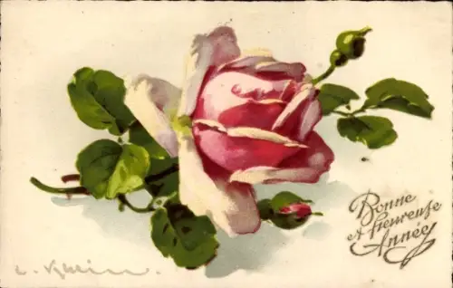 Künstler Ak Klein, Catharina, Rosa Rose, Glückwunsch