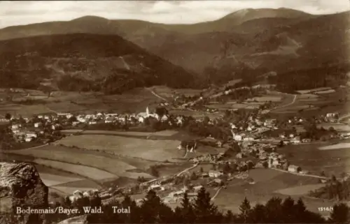 Ak Bodenmais in Niederbayern, Landschaftsaufnahme,  Bayerischer Wald, Total