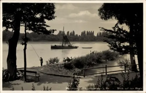 Ak Ludwigshafen am Rhein, Blick auf den Rhein, Boot, Angler, Bäume, Menschen am Ufer
