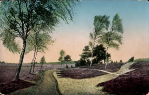 Ak Lührsbockel Bockel Wietzendorf in der Lüneburger Heide, Heideblick