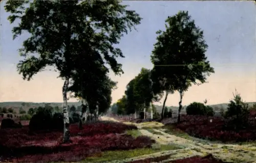Ak Lüneburger Heide, Landschaft mit Bäumen, Weg, Lüneburger Heide