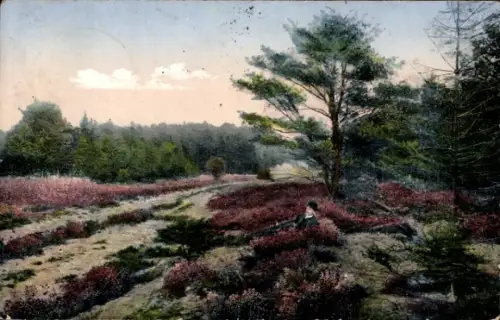 Ak Lüneburger Heide, Heidelandschaft, rastender Mann