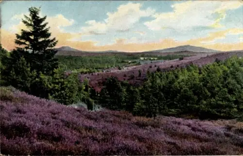 Ak Lüneburger Heide, Landschaft mit lila Heide, Bäume, Berge im Hintergrund