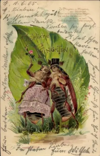 Präge Litho Glückwunsch Pfingsten, Maikäfer, Laubblatt