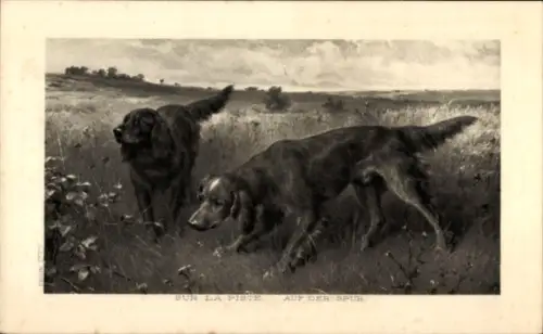 Künstler Ak Jagdhunde, auf der Spur