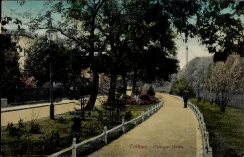 Ak Cottbus in der Niederlausitz,  Ostrower Damm, Parklandschaft, Spaziergänger