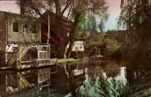 Ak Cottbus in der Niederlausitz, Am Mühlgraben