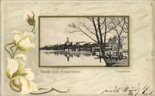 Präge Passepartout Ak Strausberg in der Mark, Totalansicht, Seeufer, Blumen