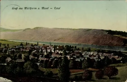 Ak Mülheim an der Mosel, Gruß aus Mülheim a. Mosel - Total, Landschaft mit Häusern und Fluss