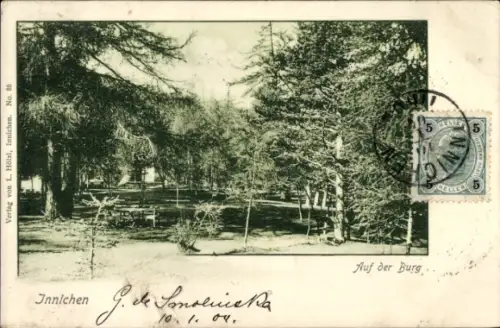 Ak Innichen San Candido Südtirol, Auf der Burg, Bäume