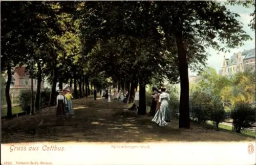 Ak Cottbus in der Niederlausitz, Spremberger Wall
