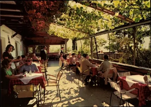 Ak Meran Merano Südtirol, Hotel Jagdschloss Fragsburg, Weinbergterrasse