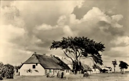Ak Neuendorf Hiddensee Insel Rügen, Wohnhaus, Reetdach