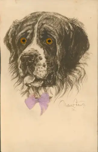 Stoff Ak Hundeportrait, Bernhardiner, Schleife