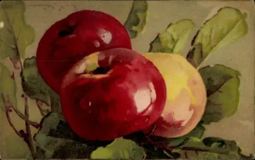 Künstler Ak Klein, Catharina, Stillleben, Äpfel