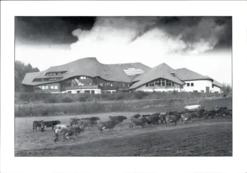 Ak Rengoldshausen Überlingen am Bodensee, Freie Waldorfschule, Kuhherde