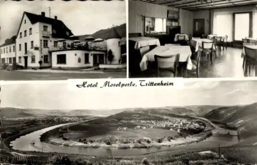 Ak Trittenheim an der Mosel, Hotel Moselperle,  Restaurant, Moselansicht