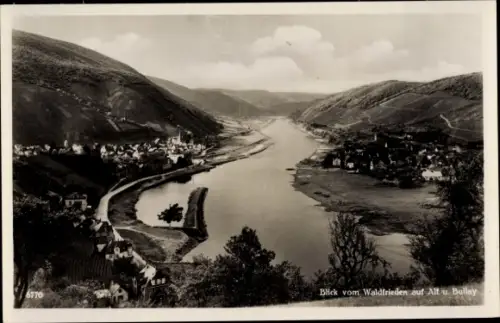 Ak Bullay an der Mosel, Blick vom Waldfrieden auf Alf und Bullay