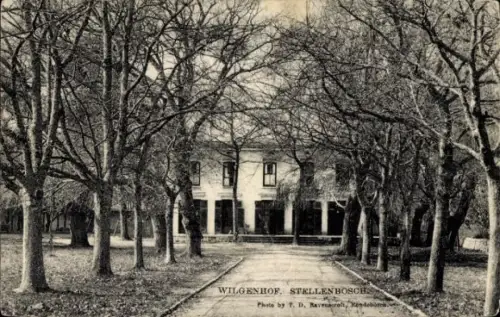 Ak Stellenbosch Südafrika , Wilgenhof,  Bäume, Gebäude, Foto von T. D. Ravenscroft