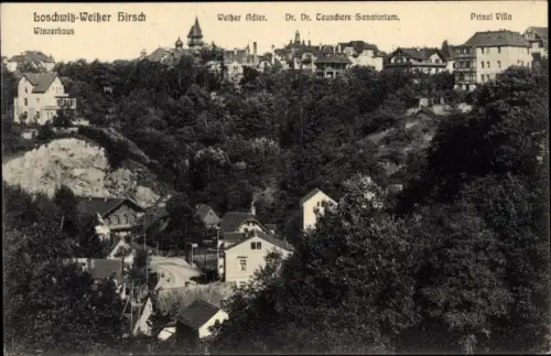 Ak Dresden Weißer Hirsch, schöne Detailansicht