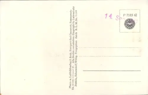 Ak Bad Pyrmont in Niedersachsen, Luftaufnahme von  Stadtansicht, Bäume, Gärten