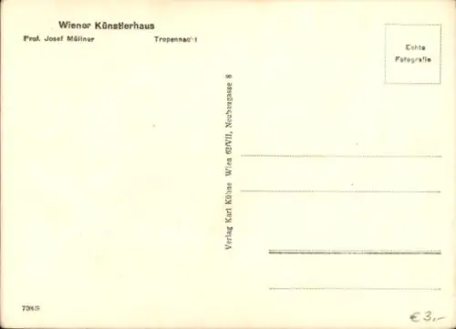 Ak Plastik von Prof. Josef Müllner, Tropennacht