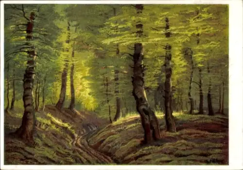 Künstler Ak Hirsch, Chr. G., Sonne im Walde