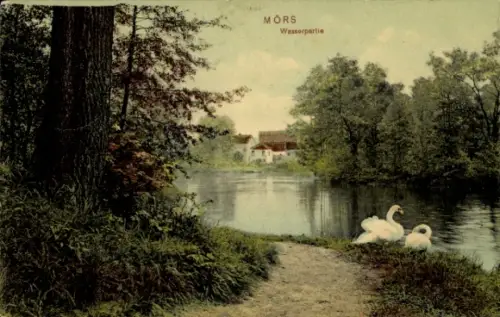 Ak Moers am Niederrhein, Schwäne am Ufer