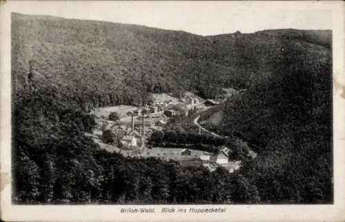 Ak Wald Brilon im Sauerland, Blick ins Hoppecketal, Fabrik und Wohnhäuser