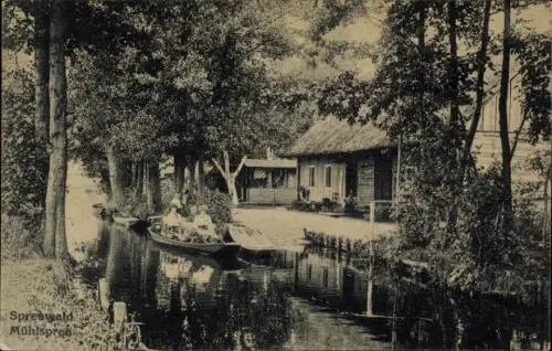 Ak Burg im Spreewald, Blick auf die Mühlspree, Kahn mit Passagieren, Haus