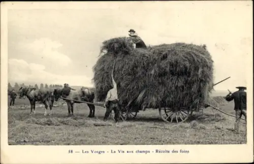CPA Les Vosges, La Vie aux champs, Recolte des foins