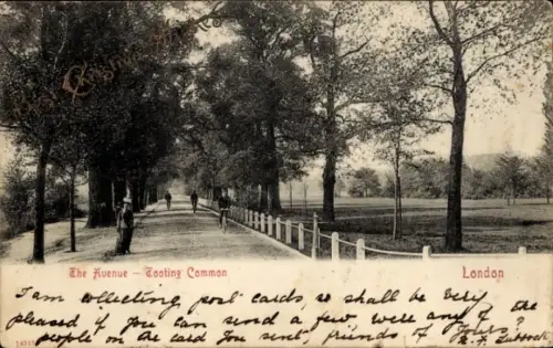 Ak Tooting Wandsworth London England, Avenue Tooting Common,  Bäume, Spaziergänger, 