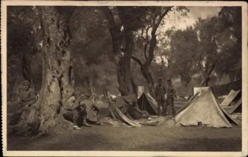 Ak Korfu Griechenland, Olivenbäume, Soldaten, 1916