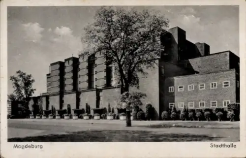 Ak Magdeburg an der Elbe, Stadthalle  Baum, Rasenfläche, 