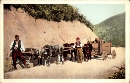 Ak Bosnien Herzegowina, Bosnischer Bauernwagen, Rinderfuhrwerk