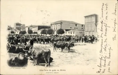 Ak Minho Portugal, Marktplatz, Rinder
