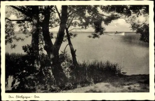 Ak Heidesee in Brandenburg, Wolziger See