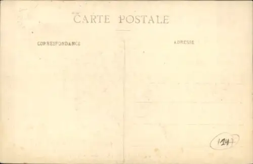 Ak Pyrenäenberghund, Tierportrait