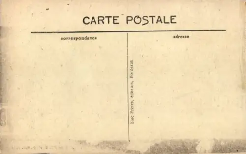 Ak Pyrenäenberghund, Tierportrait